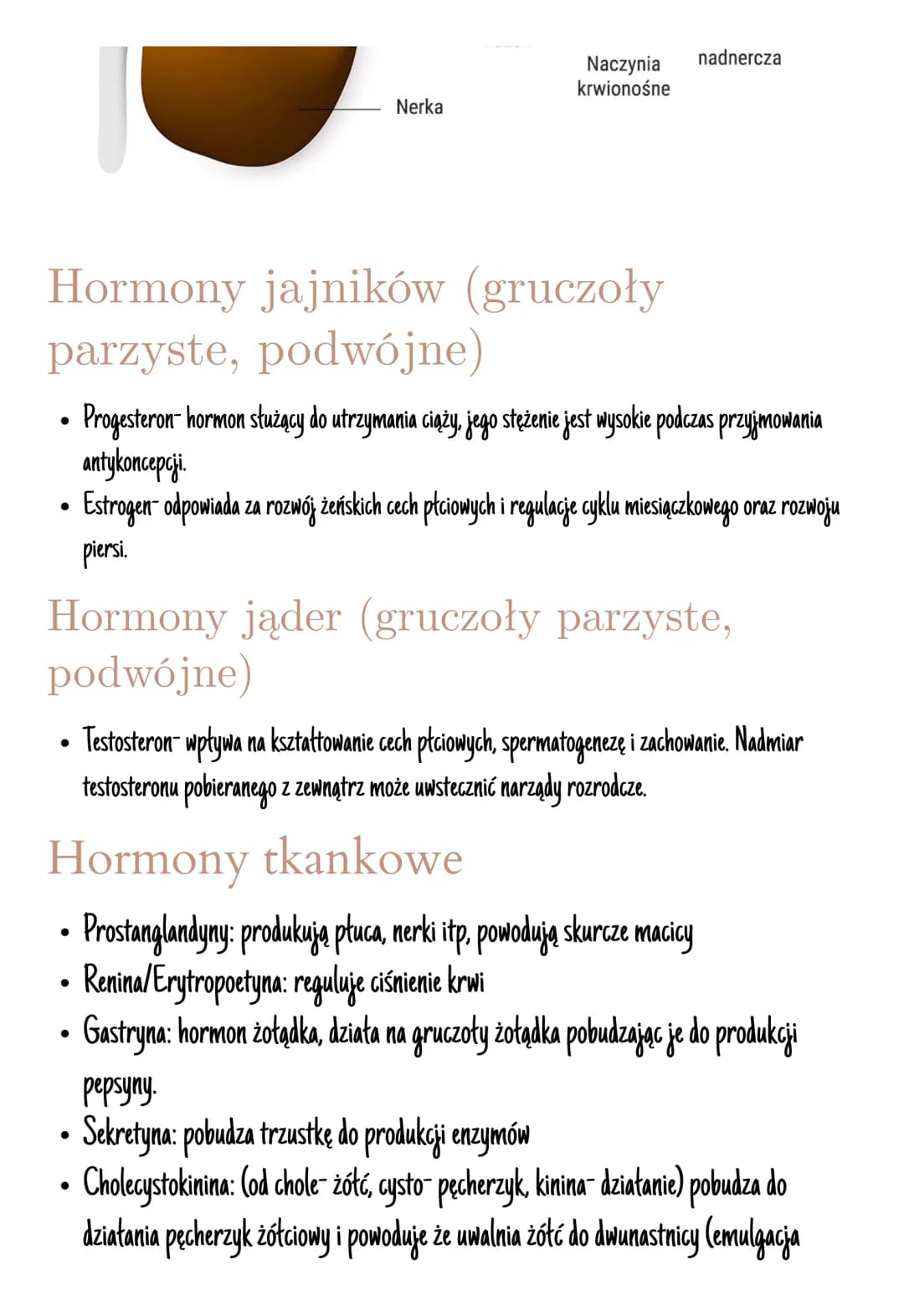 Układ hormonalny
Jest on zbudowany z gruczołów dokrewnych
Hormony- zmieniają aktywność komórek, są produkowane przez wszystkie komórki.
Insu