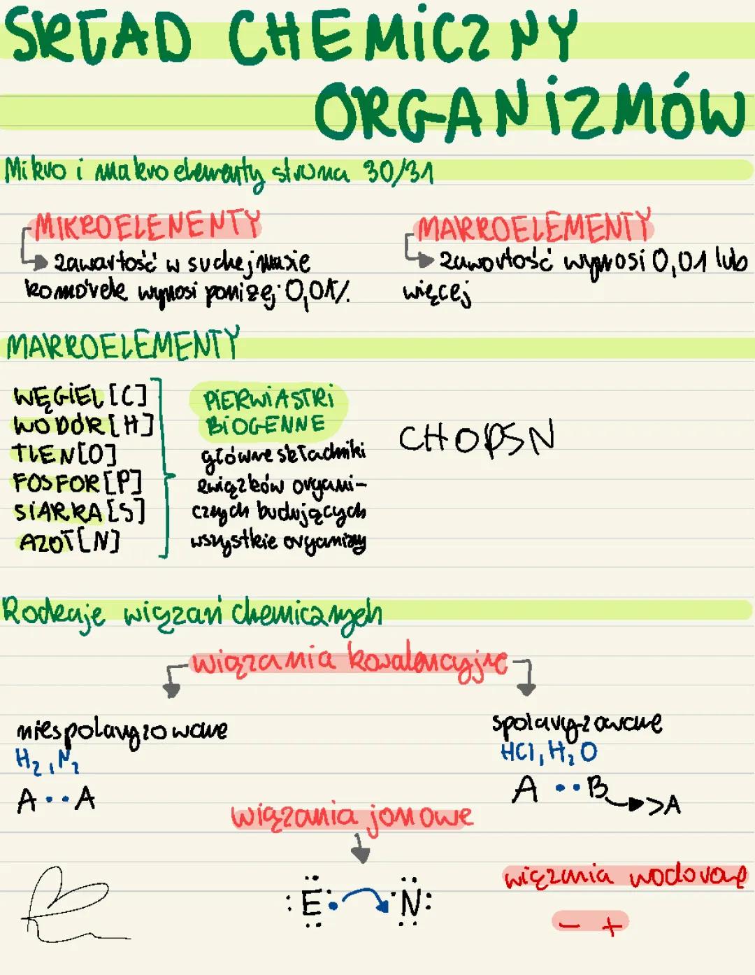 Podstawy chemii organizmów: Kluczowe składniki życia