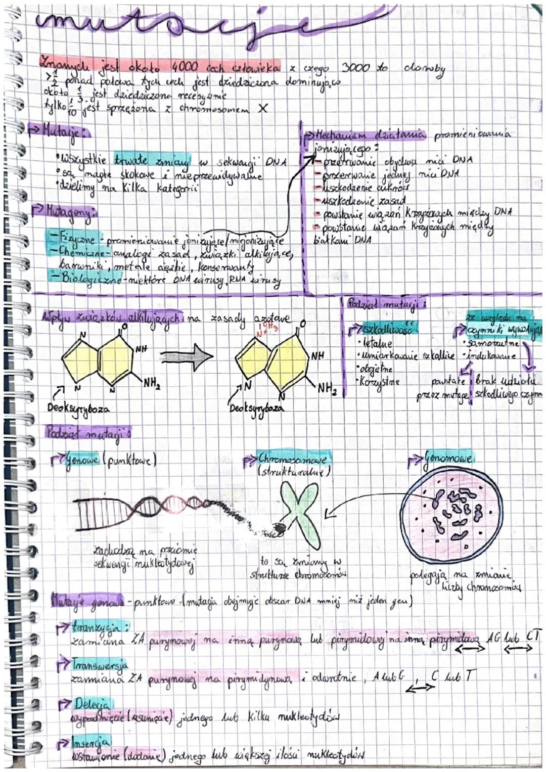 дететука
Kwasy nucklepowe - Związeki o charaktene polimerów, składające się z wielu powtanających.
się maromerow nukleotydow
aderina
tymina
