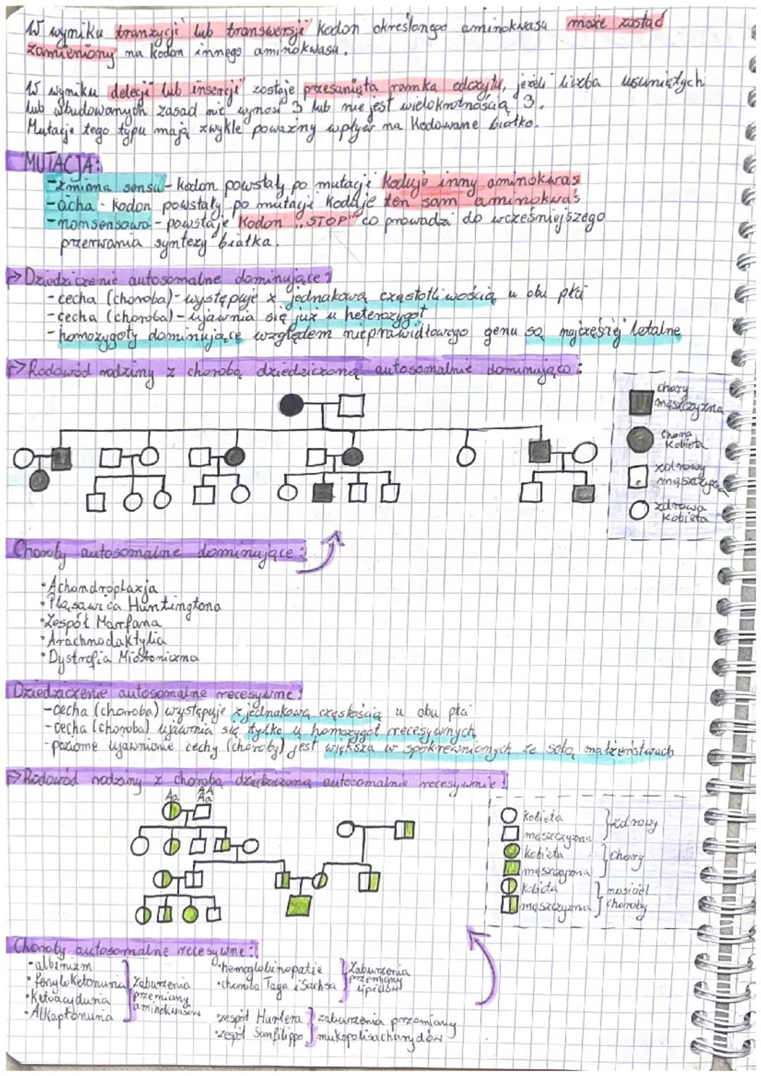 дететука
Kwasy nucklepowe - Związeki o charaktene polimerów, składające się z wielu powtanających.
się maromerow nukleotydow
aderina
tymina
