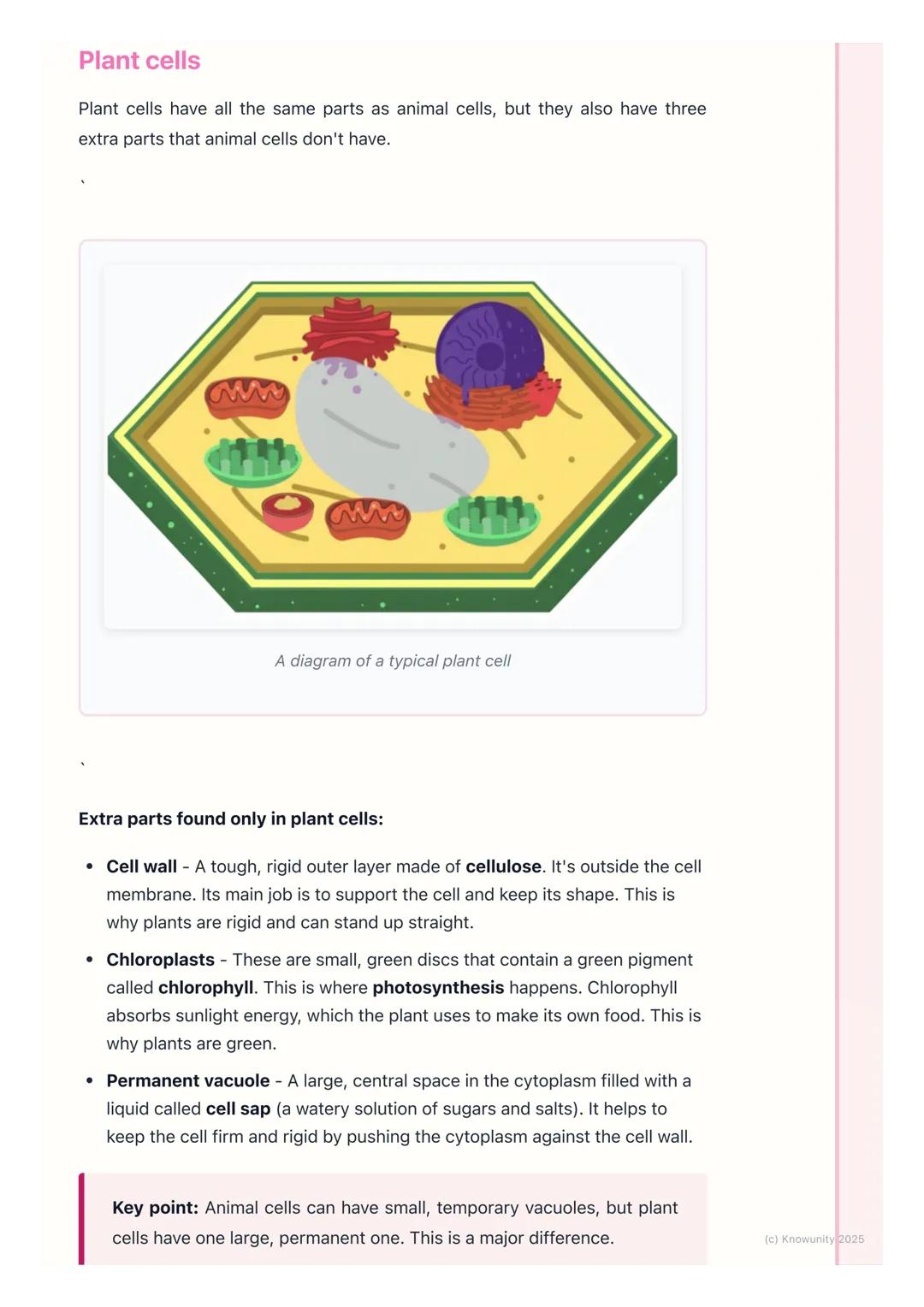 # Plant and Animal Cells

## Introduction to cells

All living things, from tiny bacteria to massive trees and even us, are made of
cells. T