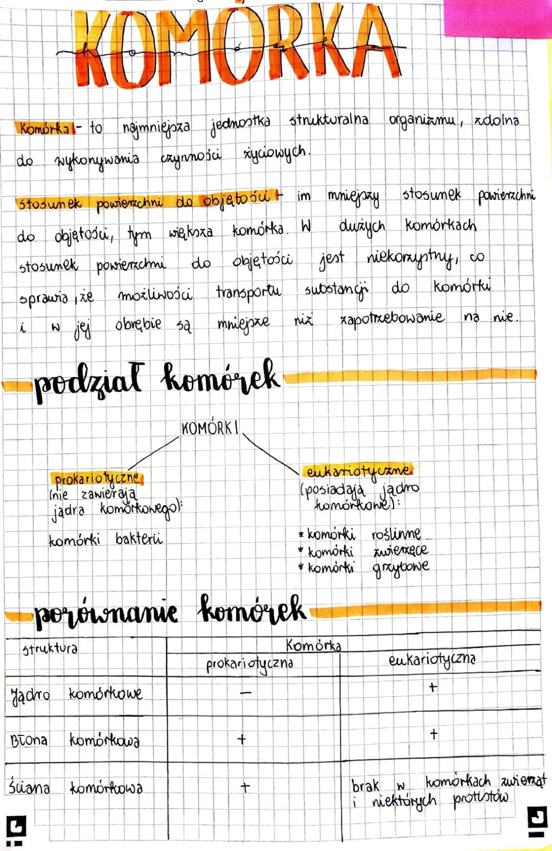 Budowa i funkcje komórek prokariotycznych i eukariotycznych