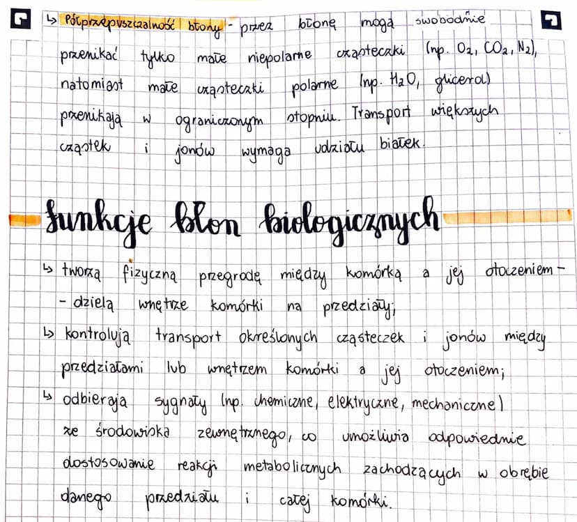 KOMÓRKA
Komórka - to najmniejsza jednostka strukturalna organizmu, zdolna
do wykonywania czynności życiowych.
Stosunek powierzchni do objęto