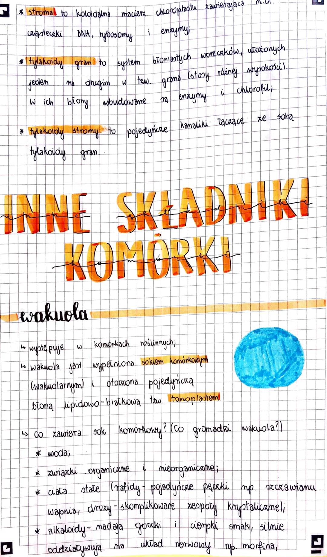 KOMÓRKA
Komórka - to najmniejsza jednostka strukturalna organizmu, zdolna
do wykonywania czynności życiowych.
Stosunek powierzchni do objęto