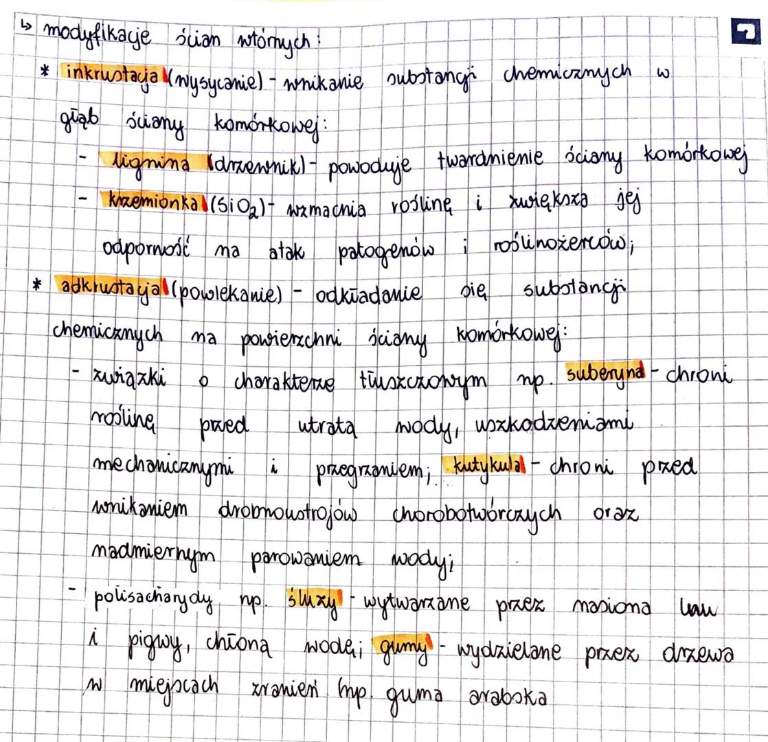 KOMÓRKA
Komórka - to najmniejsza jednostka strukturalna organizmu, zdolna
do wykonywania czynności życiowych.
Stosunek powierzchni do objęto