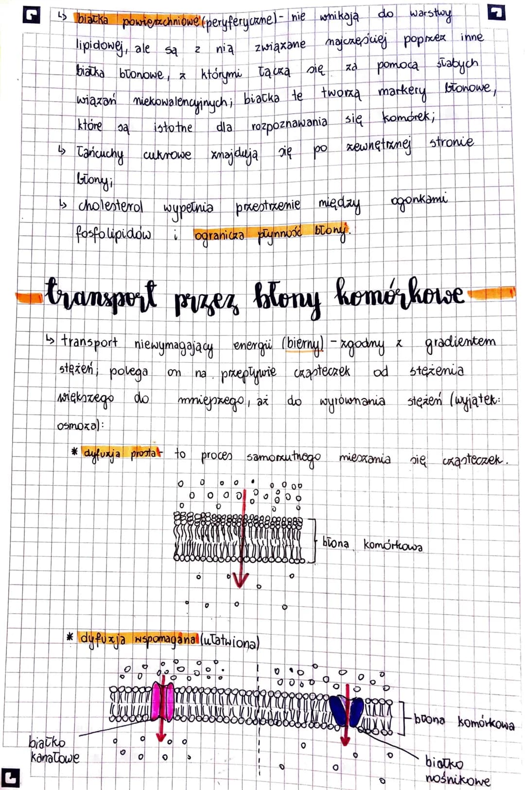 KOMÓRKA
Komórka - to najmniejsza jednostka strukturalna organizmu, zdolna
do wykonywania czynności życiowych.
Stosunek powierzchni do objęto