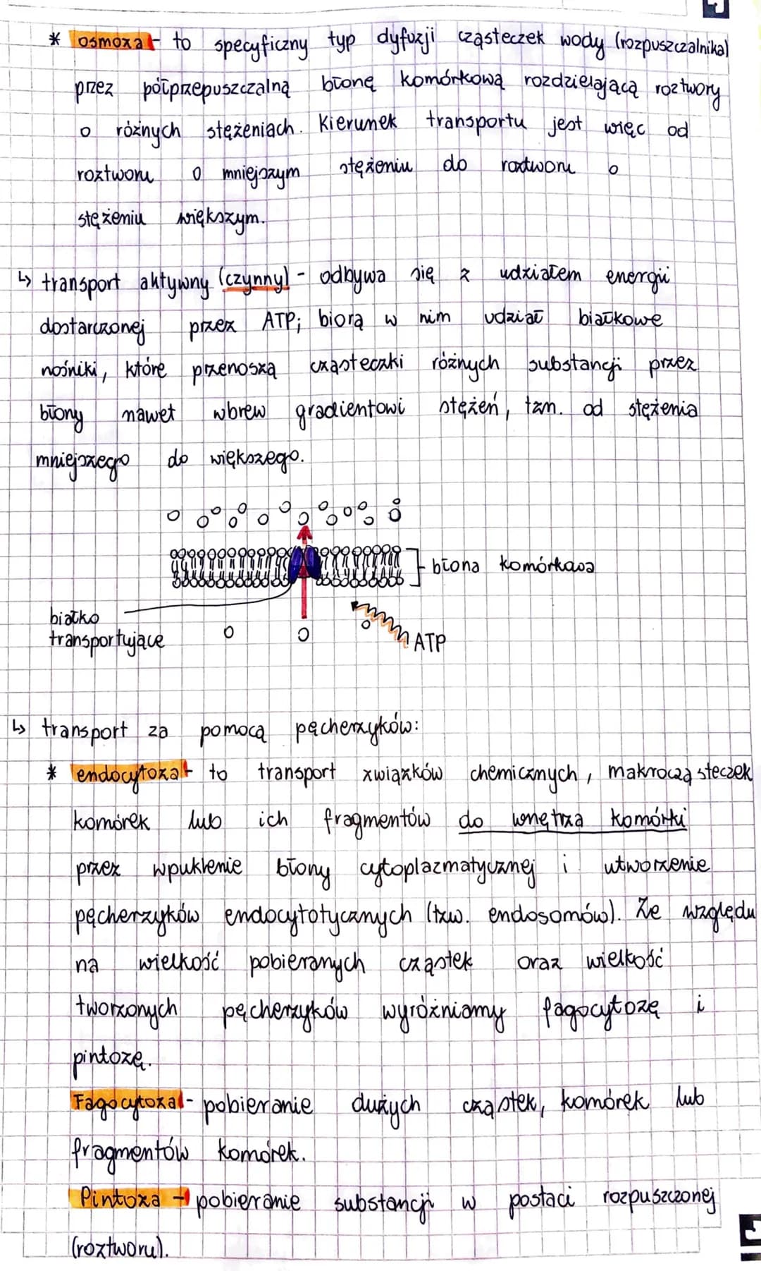 KOMÓRKA
Komórka - to najmniejsza jednostka strukturalna organizmu, zdolna
do wykonywania czynności życiowych.
Stosunek powierzchni do objęto