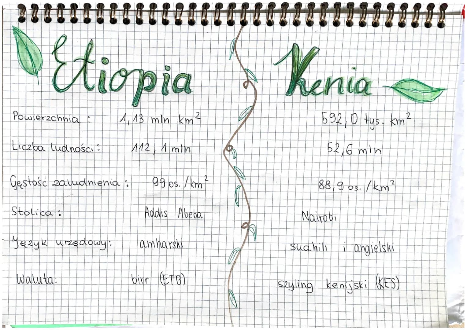 Etiopia & Kenia
↓↓
·leży we wschodniej Afryce
(w części nazwanej rogiem
Afrydi)
leży we wschodniej części
Afryki, po obu stronach równika
Po