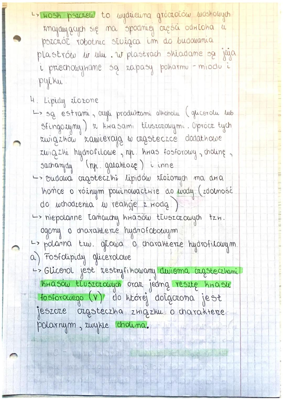 # BUDOWA I FUNKCJE
ZIPIDOW

1. Lipidy (tłuszcze)
a) Budowa chomiczna
> zbudowane z węgla, wodoru, tlonu a nichtóre
z nich dodatkowo z arotu 