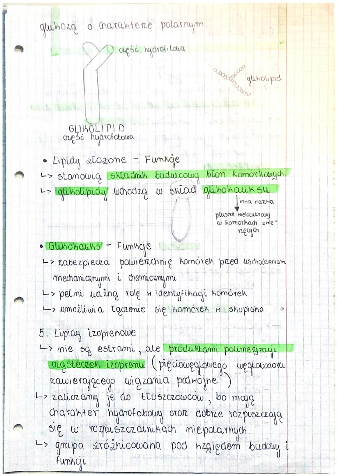 # BUDOWA I FUNKCJE
ZIPIDOW

1. Lipidy (tłuszcze)
a) Budowa chomiczna
> zbudowane z węgla, wodoru, tlonu a nichtóre
z nich dodatkowo z arotu 