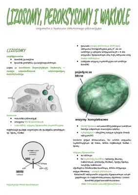 Know Lizosomy, peroksysomy, wakuole  thumbnail