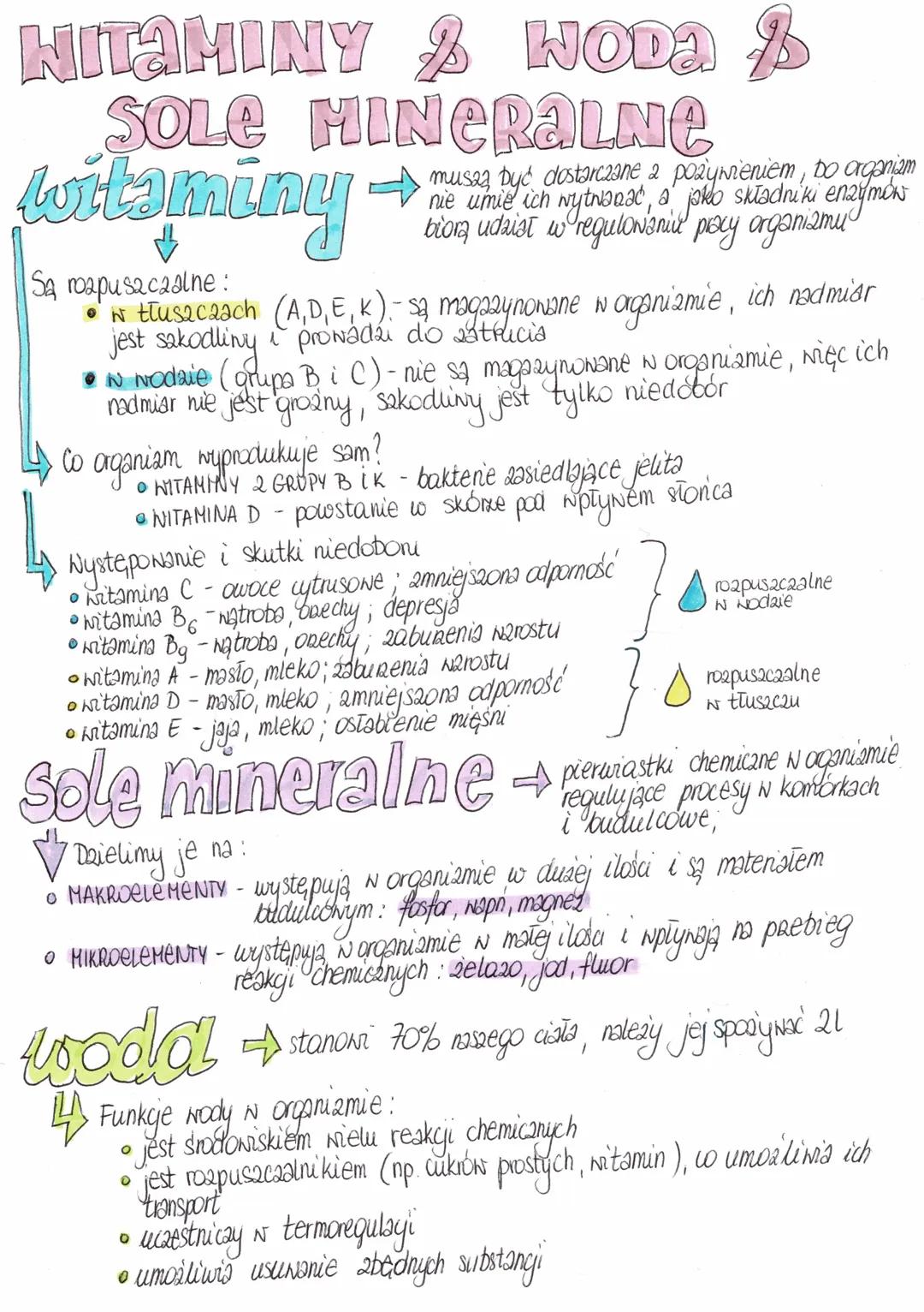 Witaminy, sole mineralne i woda - Puls Życia, klasa 7