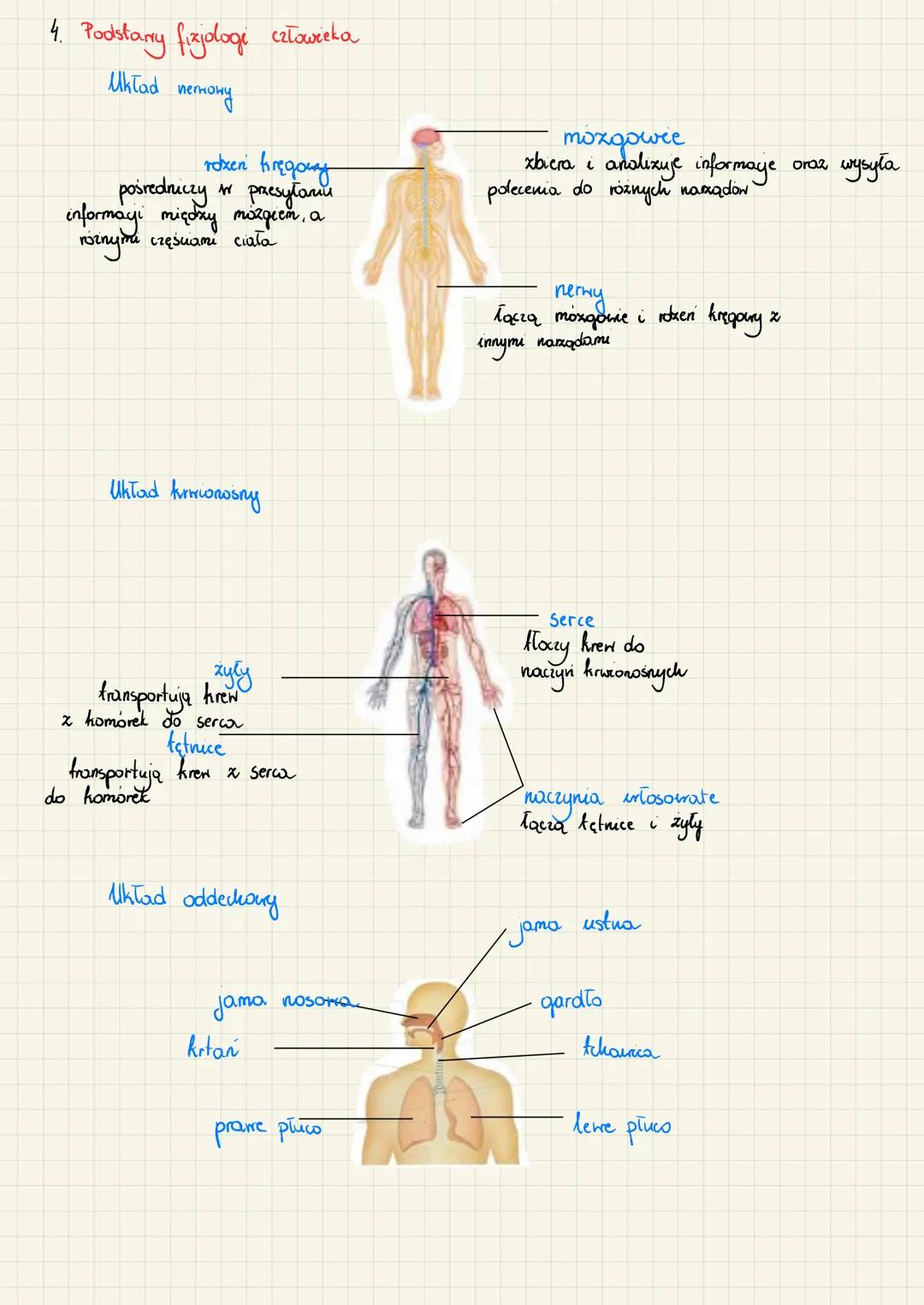 ➡+ Pierwsza pomoc
1. Pierwsza Pomoc - zespół prosłych czynności podejmowanych na miejsu zdarzenia przed przybyciem profesjonalnych
rozpoznan