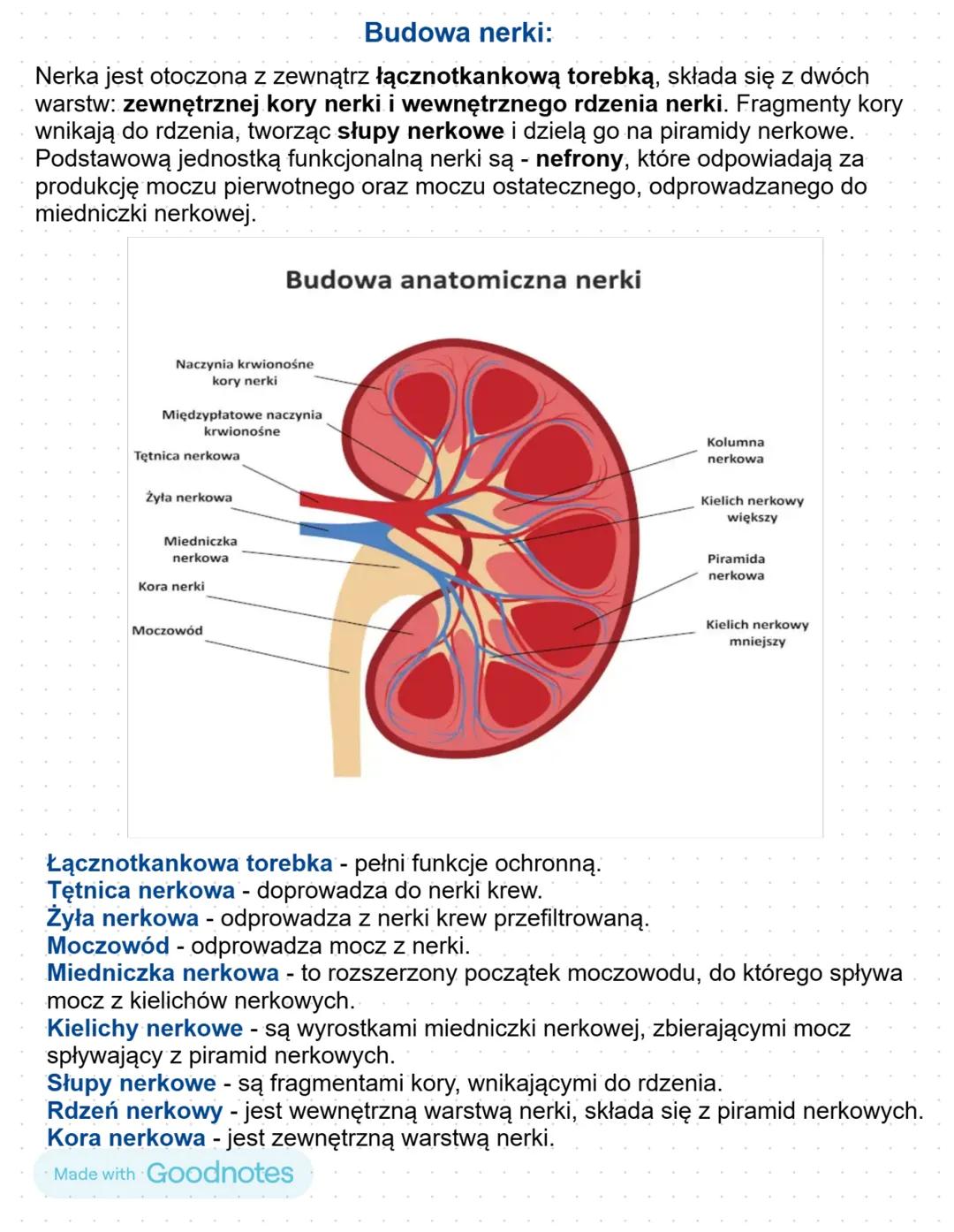 Budowa i funkcjonowanie układu moczowego
Wydalanie - proces fizjologiczny, polegający na usuwaniu z organizmu zbędnych oraz
szkodliwych prod