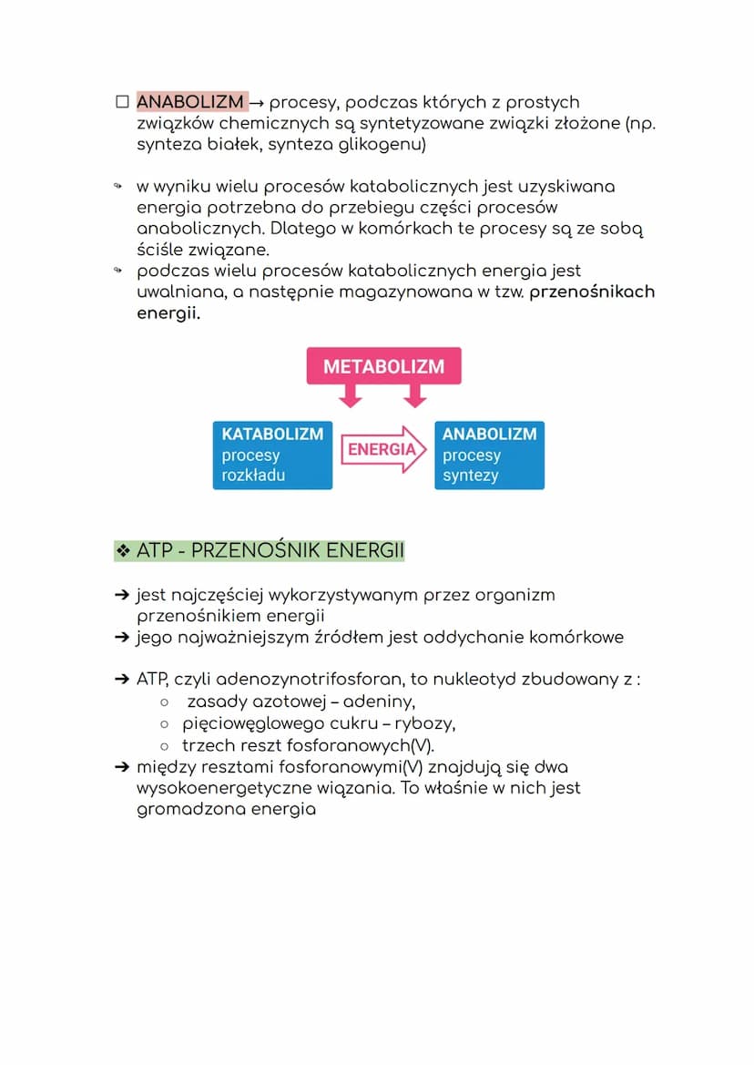 RON
Atlas de
Anatomía
Humana
DAG
3º edición
Frank H. Netter, M.D.
METABOLIZM
MASSON
I. KIERUNKI PRZEMIAN METABOLICZNYCH
Metabolizm to ogół p