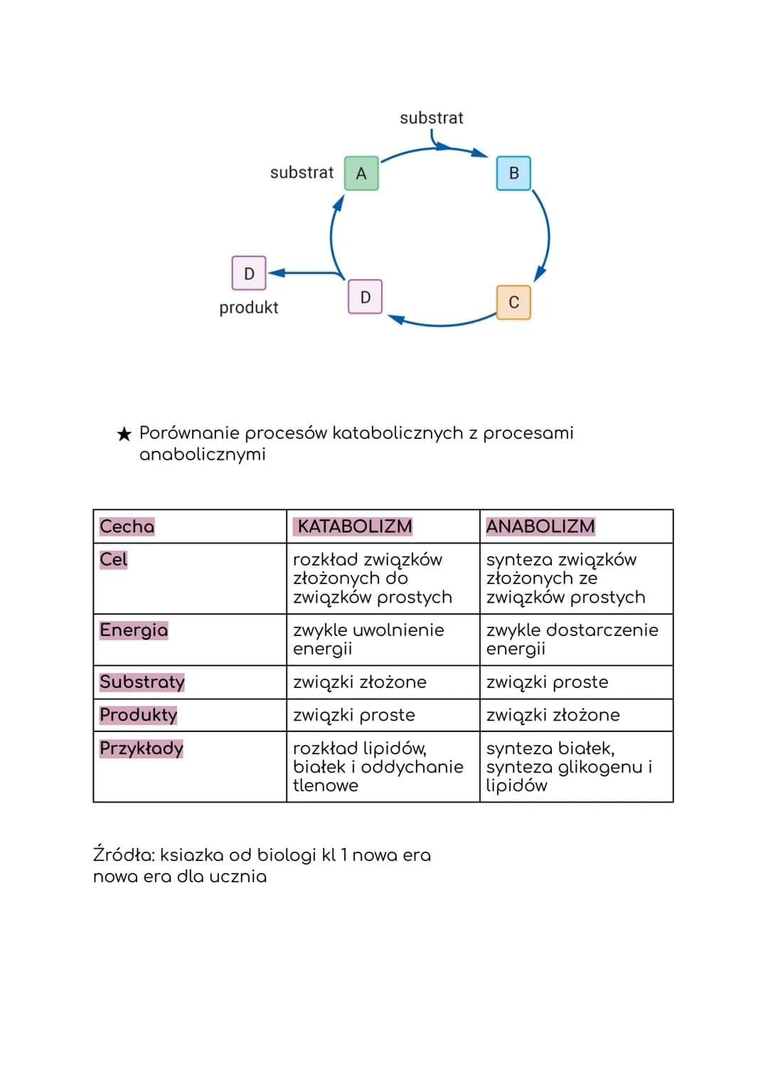 RON
Atlas de
Anatomía
Humana
DAG
3º edición
Frank H. Netter, M.D.
METABOLIZM
MASSON
I. KIERUNKI PRZEMIAN METABOLICZNYCH
Metabolizm to ogół p