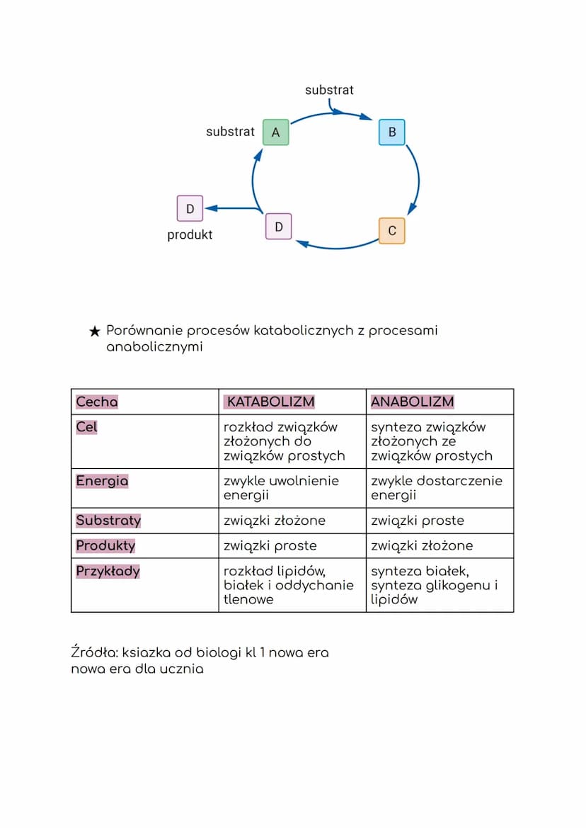 RON
Atlas de
Anatomía
Humana
DAG
3º edición
Frank H. Netter, M.D.
METABOLIZM
MASSON
I. KIERUNKI PRZEMIAN METABOLICZNYCH
Metabolizm to ogół p