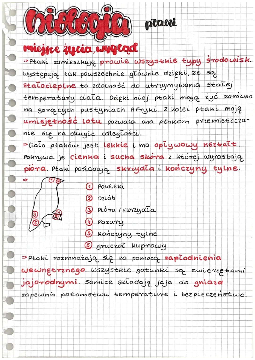 historia
miejsce zycia, wygląd
=> Ptaki zamieszkują prawie wszystkie typy srodowisk.
Występują tak powszechnie głównie dzięki, że są
Staloci