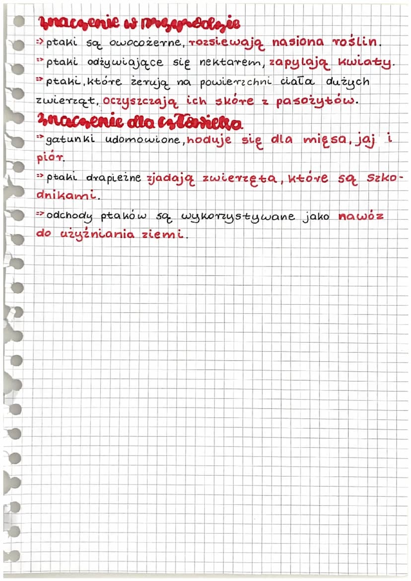 historia
miejsce zycia, wygląd
=> Ptaki zamieszkują prawie wszystkie typy srodowisk.
Występują tak powszechnie głównie dzięki, że są
Staloci
