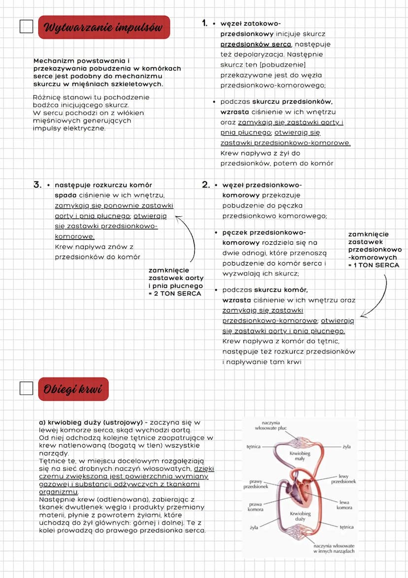 Układ
krwionośny
człowieka
układ oddechowy = drogi oddechowe
+ płuca
Budowa
- Czterojamowe serce
(2x przedsionek + 2x komora)
- Zamknięty sy