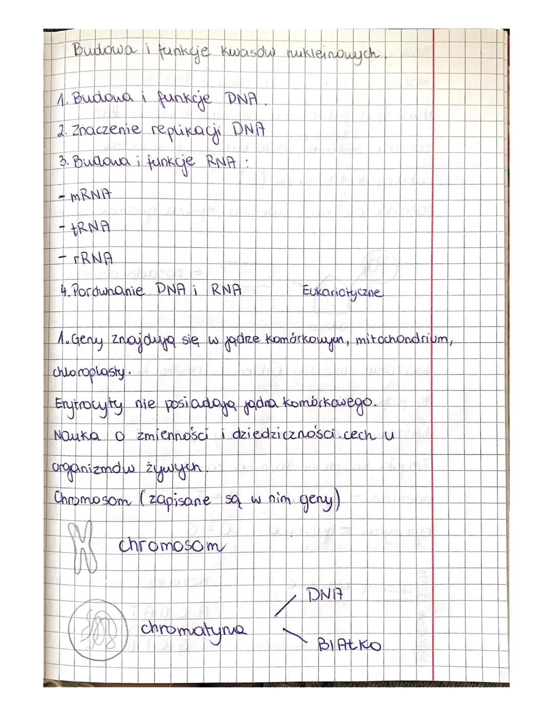 Budowa i funkcje kwasów nukleinowych
1. Budowa i funkcje DNA.
2. Znaczenie replikagi DNA
3. Budowa i funkcje RNA:
- mRNIZ
- tRNA
- TRNA
4. P