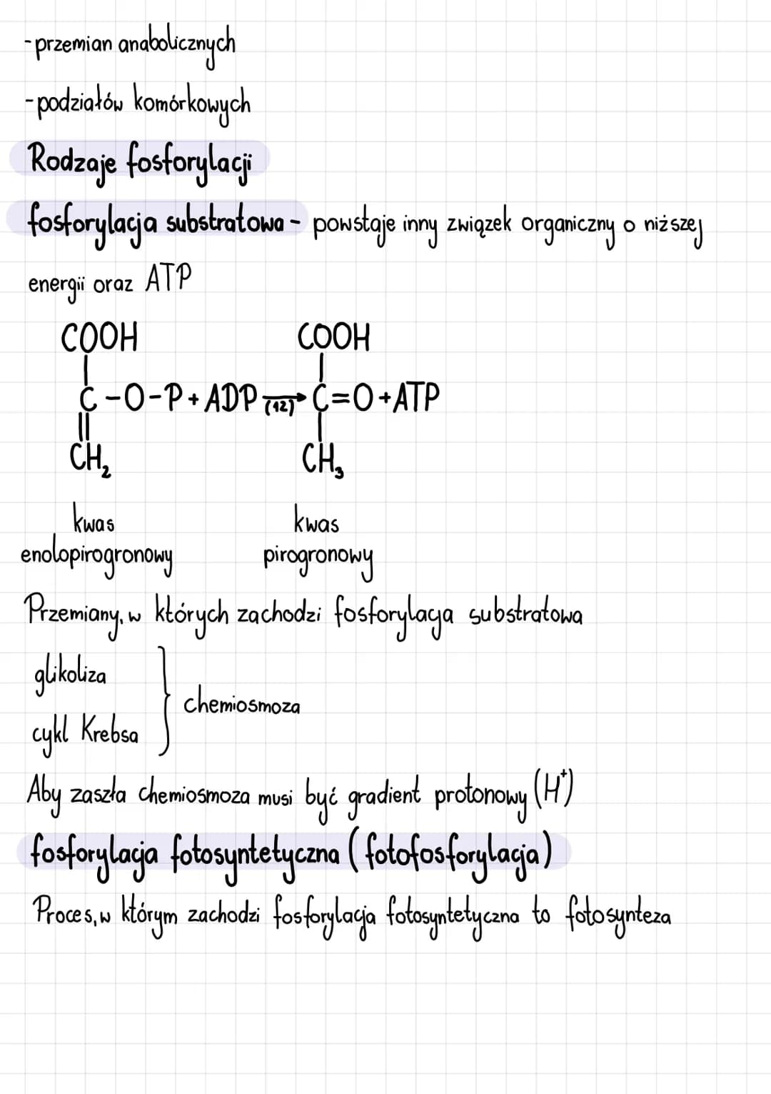 Podstawowe zasady metabolizmu
Metabolizm i jego kierunki
Metabolizm-całość przemian chemicznych i energetycznych komórki
Kierunki przemian m