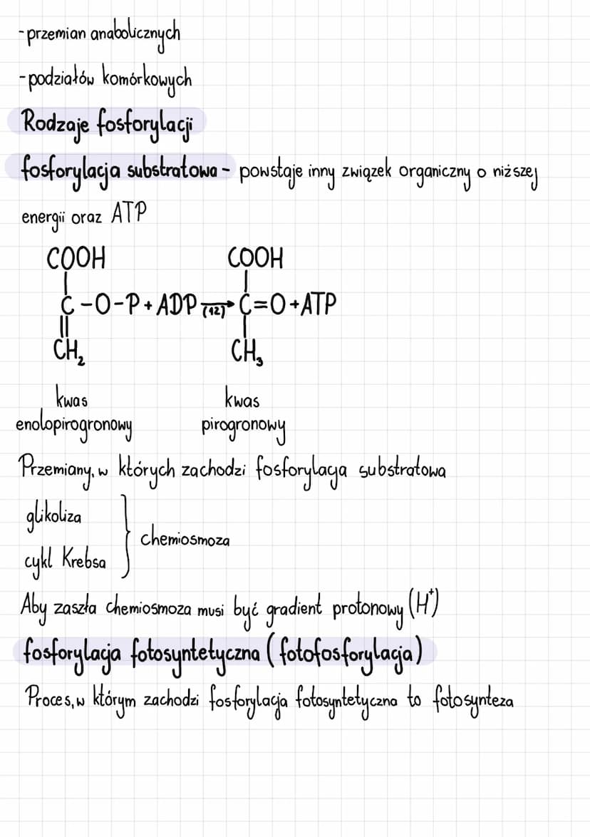 Podstawowe zasady metabolizmu
Metabolizm i jego kierunki
Metabolizm-całość przemian chemicznych i energetycznych komórki
Kierunki przemian m