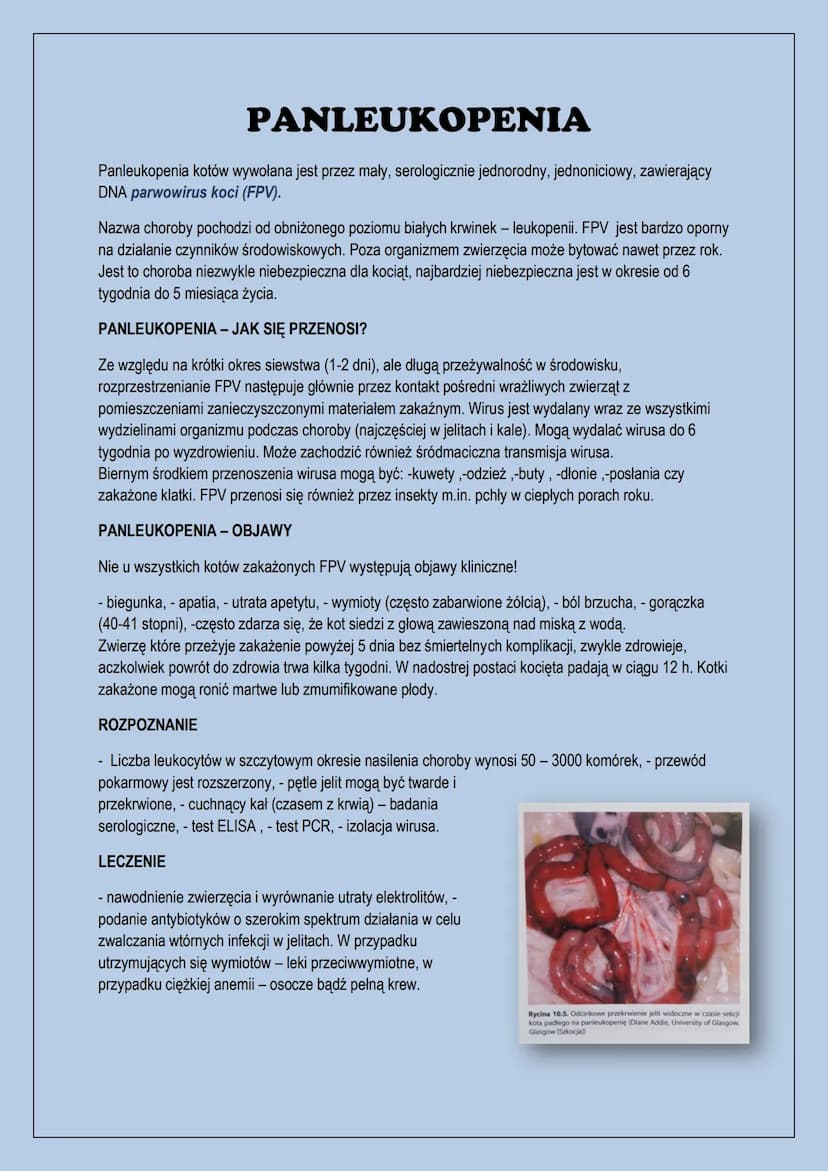 Choroby zakaźne kotów
-panleukopenia, - wirus białaczki kotów, - herpeswirus typu 1, - kaliciwirus
kotów, - bordetella bronchiseptica, - wir