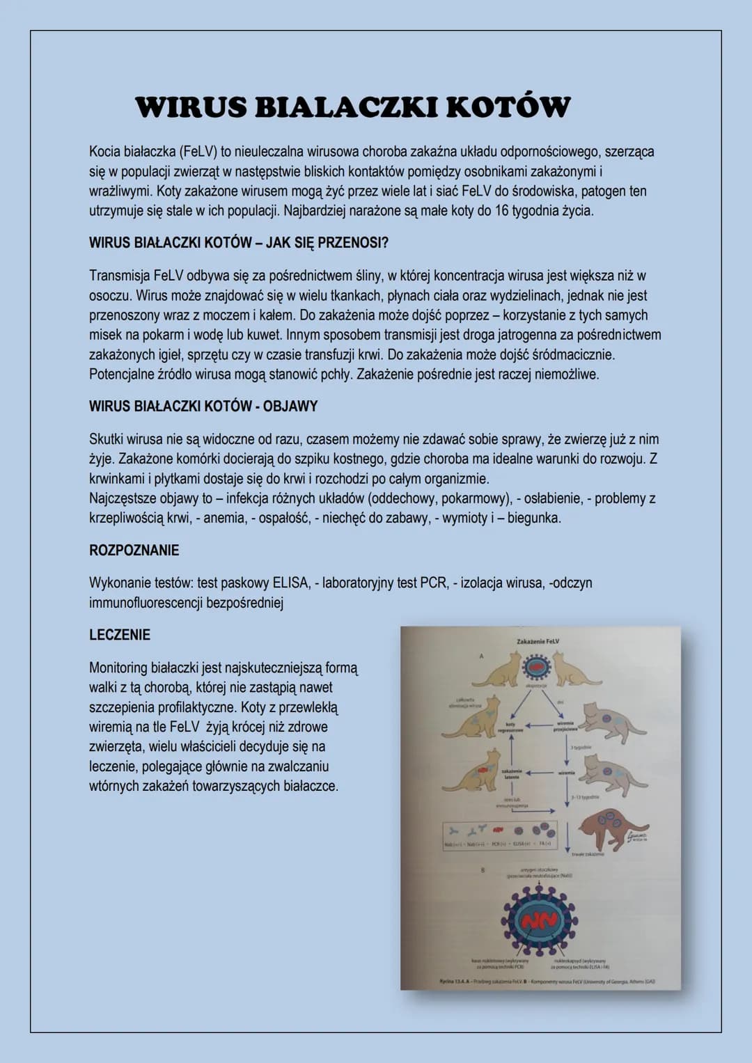 Choroby zakaźne kotów
-panleukopenia, - wirus białaczki kotów, - herpeswirus typu 1, - kaliciwirus
kotów, - bordetella bronchiseptica, - wir