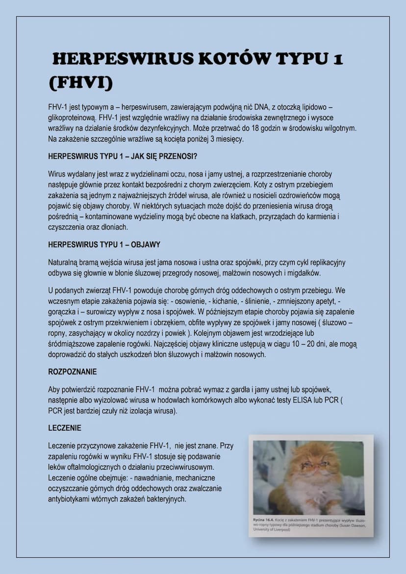 Choroby zakaźne kotów
-panleukopenia, - wirus białaczki kotów, - herpeswirus typu 1, - kaliciwirus
kotów, - bordetella bronchiseptica, - wir