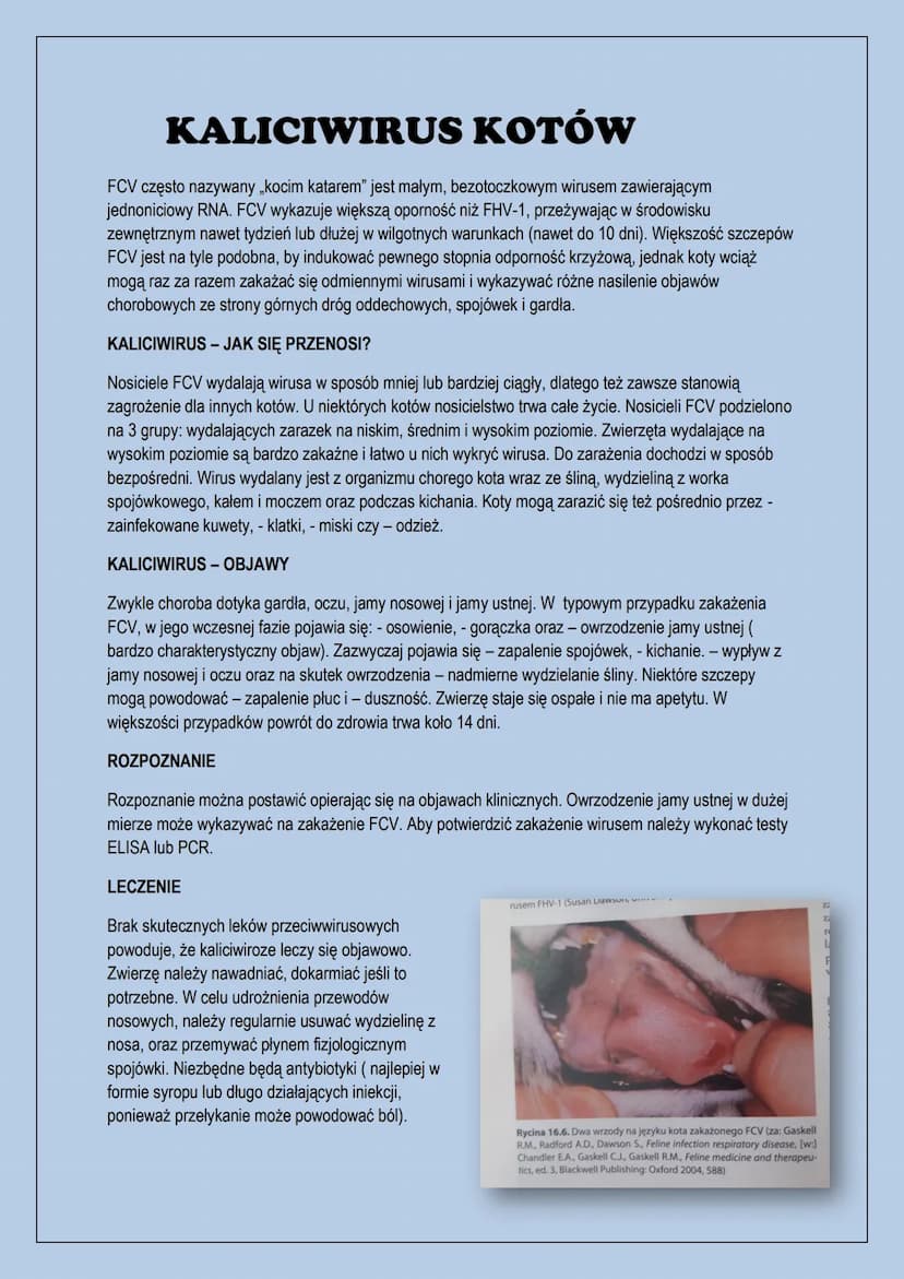 Choroby zakaźne kotów
-panleukopenia, - wirus białaczki kotów, - herpeswirus typu 1, - kaliciwirus
kotów, - bordetella bronchiseptica, - wir