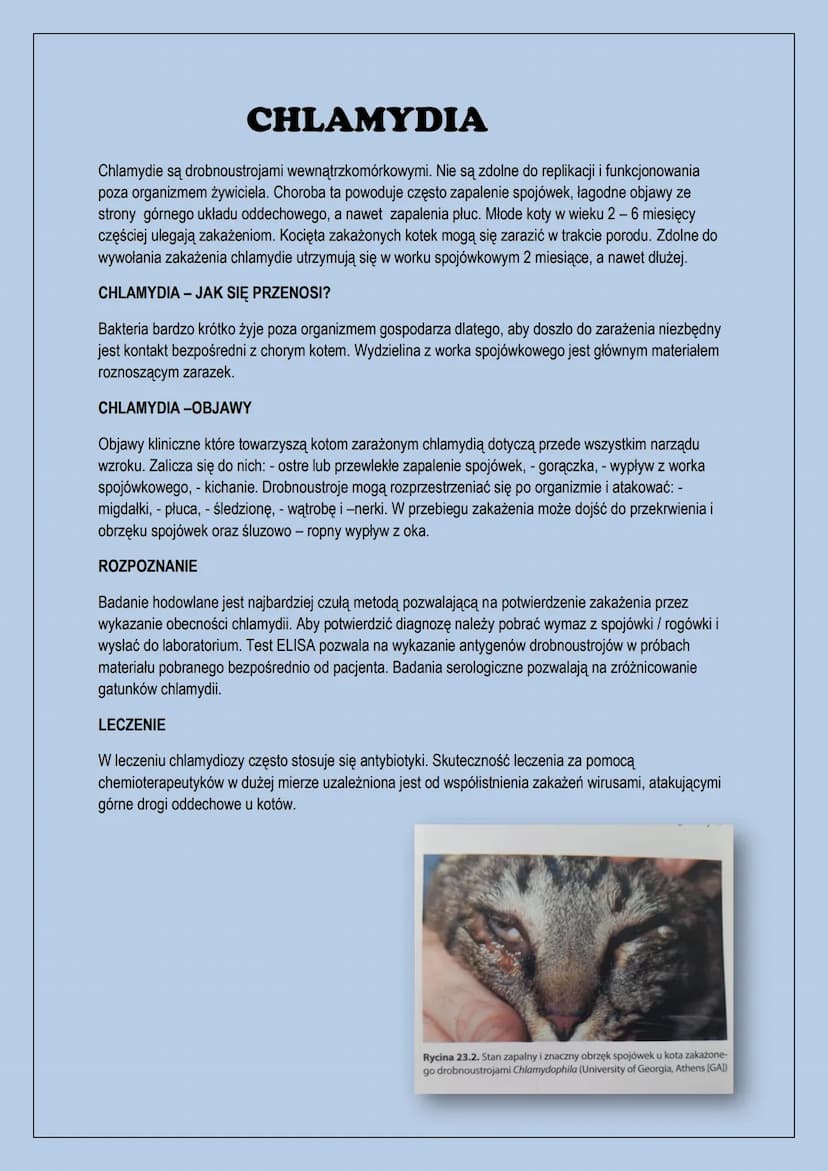 Choroby zakaźne kotów
-panleukopenia, - wirus białaczki kotów, - herpeswirus typu 1, - kaliciwirus
kotów, - bordetella bronchiseptica, - wir