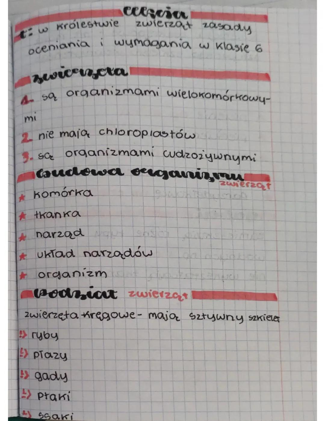 Fascynujący świat zwierząt - Biologia klasa 6