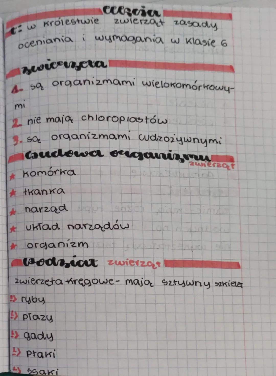 celzcia
3: w
Królestwie
zwierząt zasady
oceniania i wymagania w klasie 6
zwicazeta
4 są organizmami wielokomórkowy-
mi
2 nie mają chloroplas