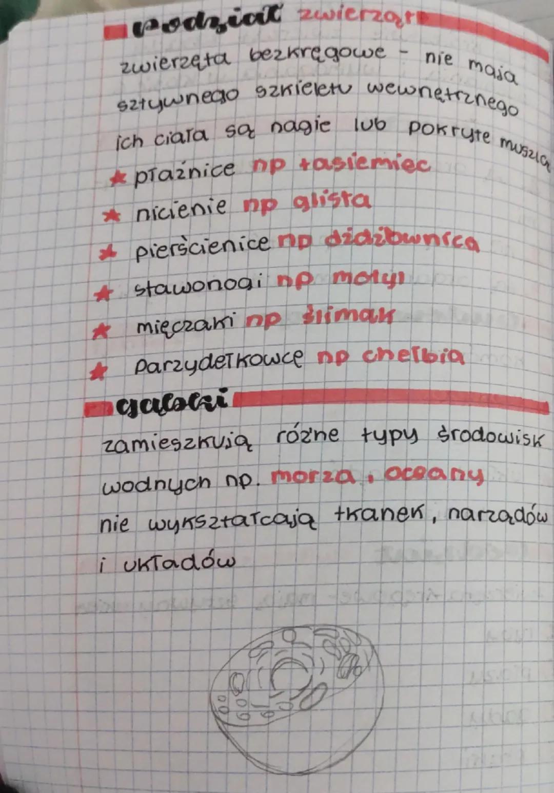 celzcia
3: w
Królestwie
zwierząt zasady
oceniania i wymagania w klasie 6
zwicazeta
4 są organizmami wielokomórkowy-
mi
2 nie mają chloroplas