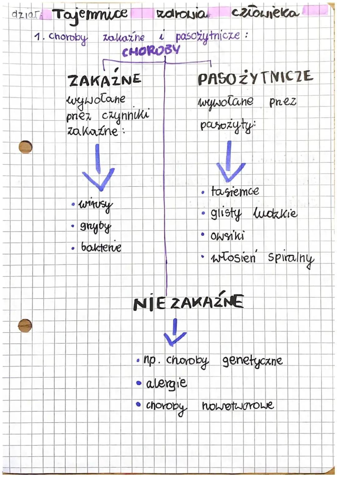 Przyroda dział „Tajemnice Zdrowia Człowieka”