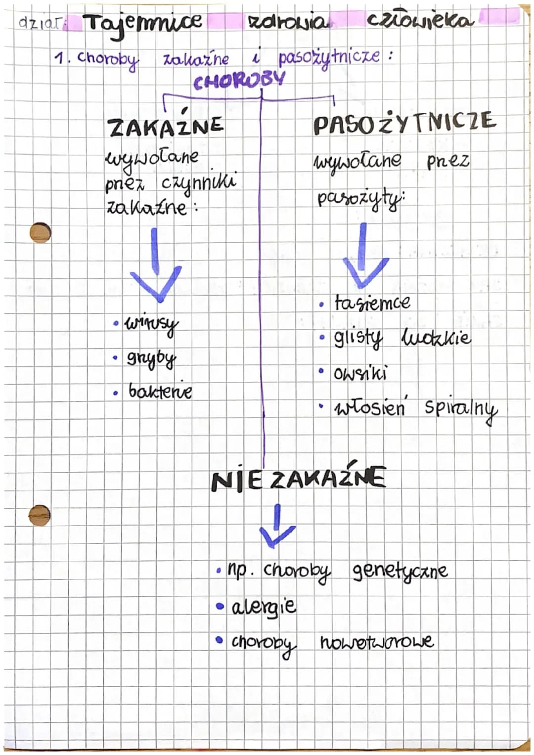 dział Tajemnice
zdrowia
człowieka
1. Choroby zakaźne i pasożytnicze :
CHOROBY
ZAKAŹNE
PASOZYTNICZE
wywołane
prez czynniki
zakaźne
• Wirusy
g