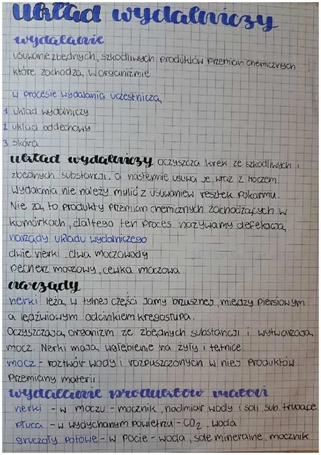 Know Układ wydalniczy  thumbnail