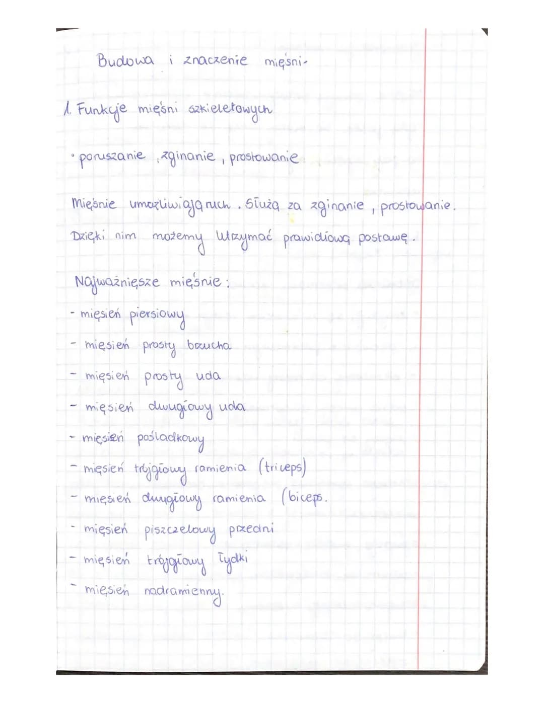 Budowa i znaczenie mięśni-
1. Funkcje mięśni szkieletowych
• poruszanie zginanie, prostowanie
Mięśnie umożliwiają ruch. Służą za zginanie, p