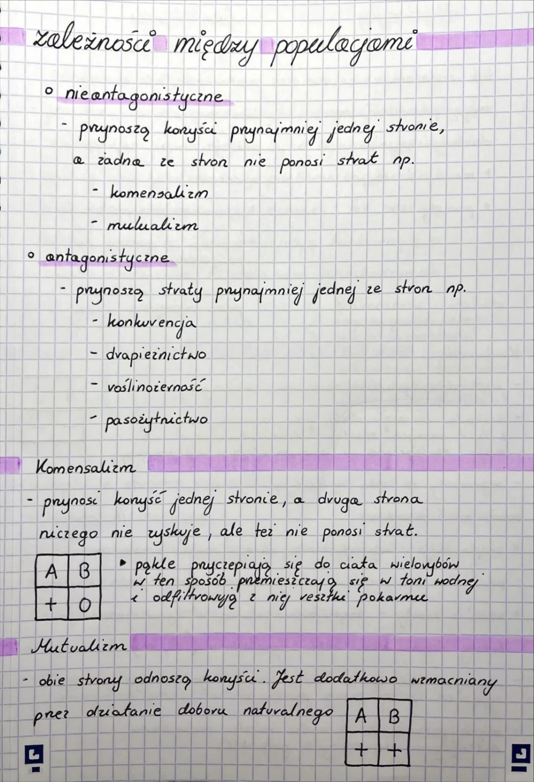 Relacje między populacjami 🌿🦉