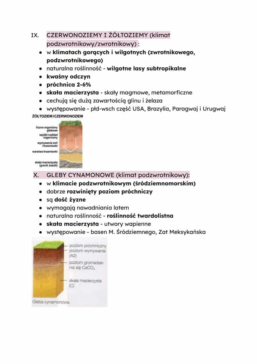POWSTAWANIE GLEB
Gleba - zewnętrzna warstwa litosfery, została utworzona ze skały
macierzystej na przestrzeni wielu lat; składa się z
azotu,