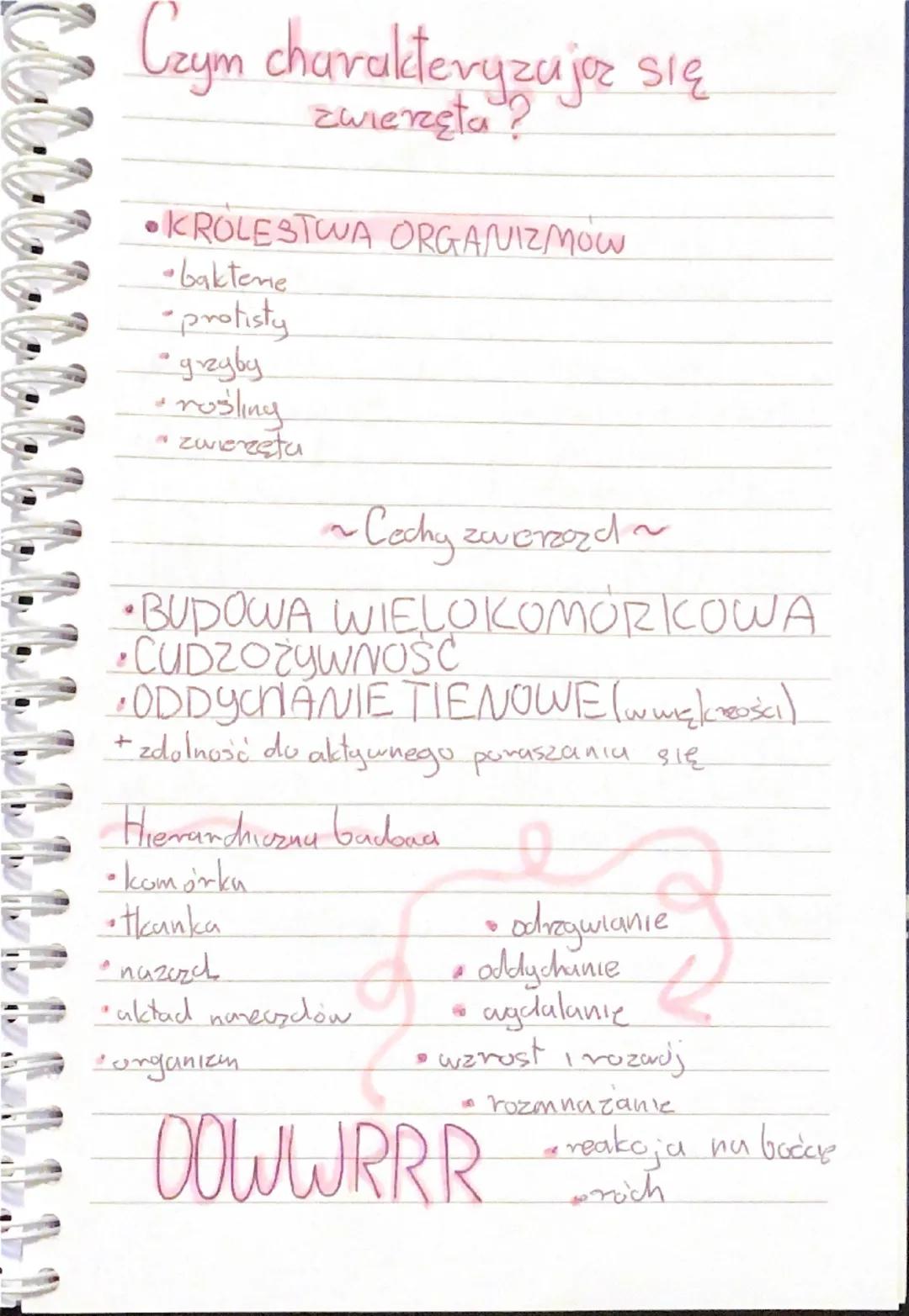 ## Czym charakteryzują się
zwierzęta?

* **KRÓLESTWA ORGANIZMÓW**
  * bakterie
  * protisty
  * grzyby
  * rośliny
  * zwierzęta

~Cechy zwi