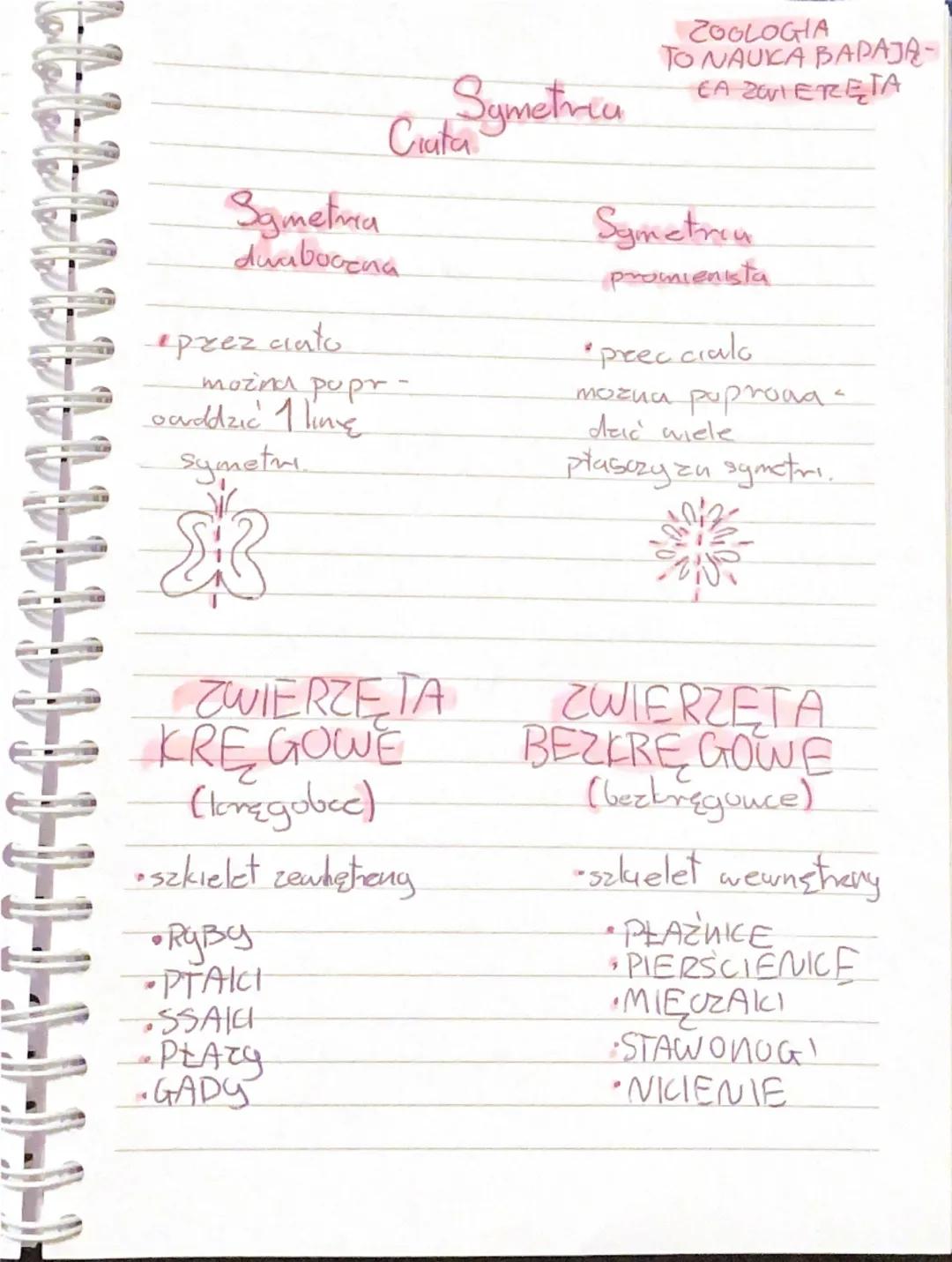 ## Czym charakteryzują się
zwierzęta?

* **KRÓLESTWA ORGANIZMÓW**
  * bakterie
  * protisty
  * grzyby
  * rośliny
  * zwierzęta

~Cechy zwi