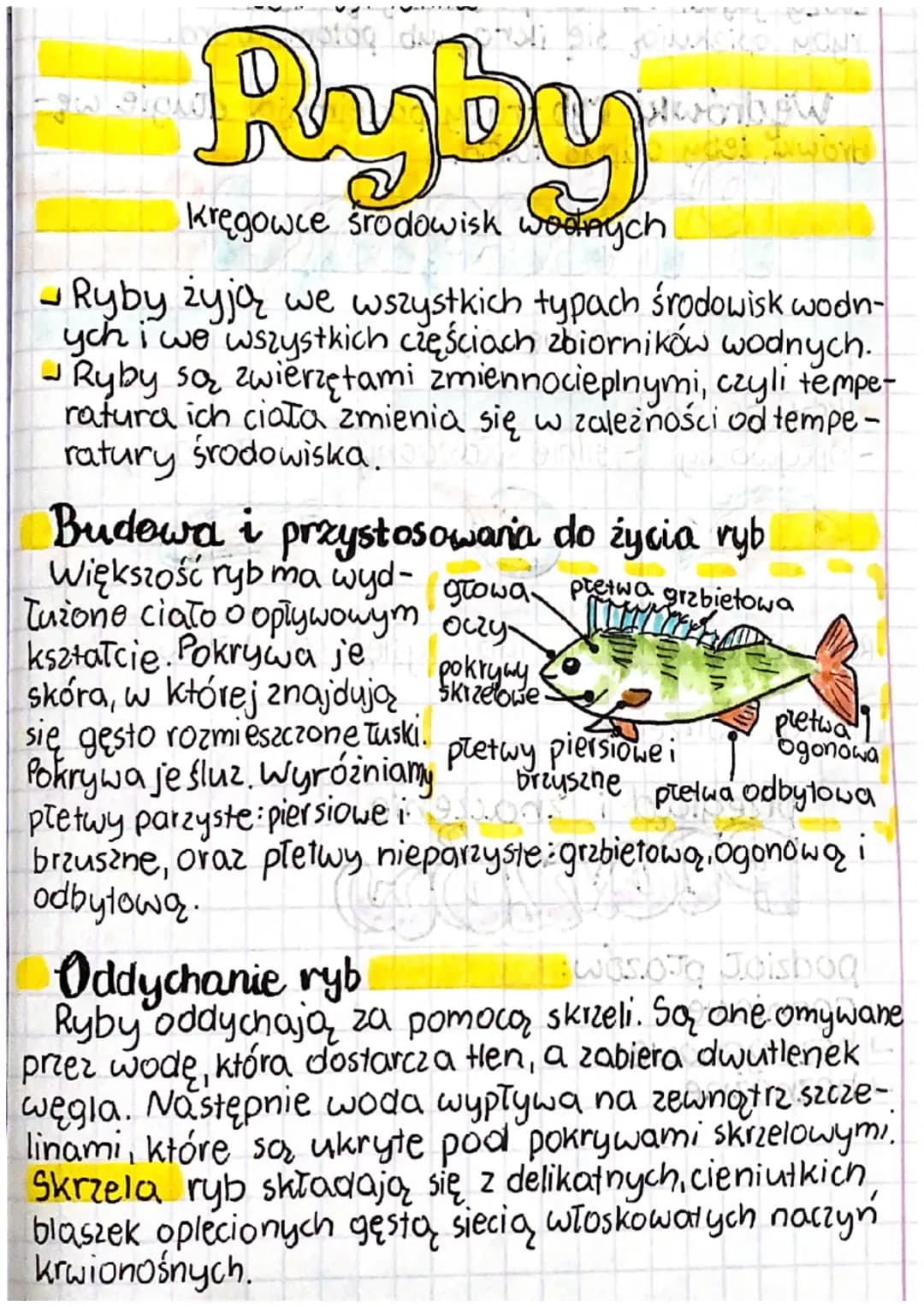 Ryby - kręgowce środowisk wodnych. Biologia, klasa 6.