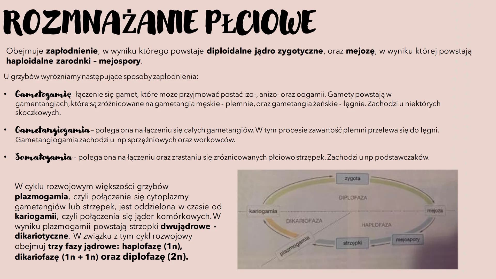 GRZYBY -
HETEROTROFICZNE
BEZTKANKOWCE
RÓŻNORODNOŚ Ć PROKARIONTÓW,
PROTISTÓW, GRZYBÓW I POROSTÓW CZYM SĄ GRZYBY?
To organizmy heterotroficzne