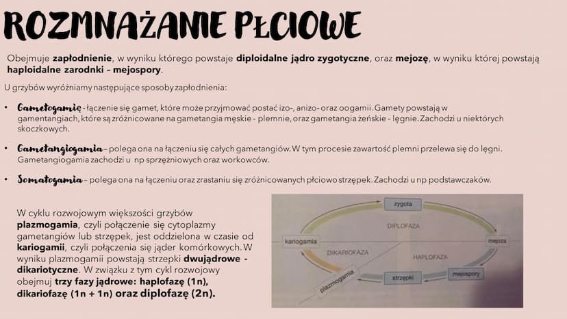 GRZYBY -
HETEROTROFICZNE
BEZTKANKOWCE
RÓŻNORODNOŚ Ć PROKARIONTÓW,
PROTISTÓW, GRZYBÓW I POROSTÓW CZYM SĄ GRZYBY?
To organizmy heterotroficzne