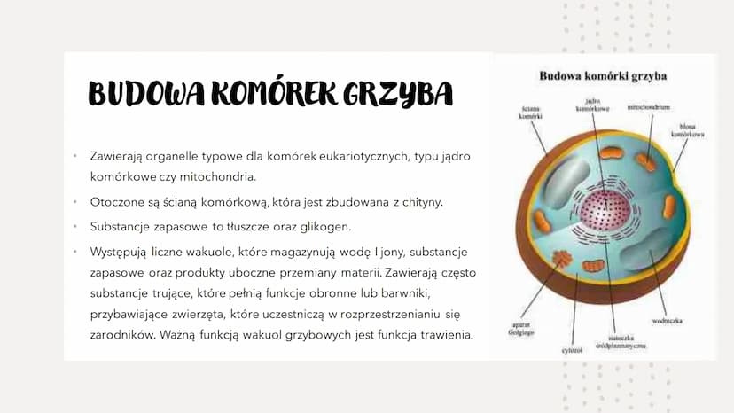 GRZYBY -
HETEROTROFICZNE
BEZTKANKOWCE
RÓŻNORODNOŚ Ć PROKARIONTÓW,
PROTISTÓW, GRZYBÓW I POROSTÓW CZYM SĄ GRZYBY?
To organizmy heterotroficzne