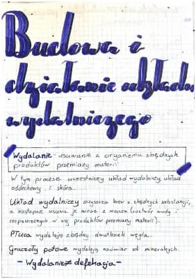 Know Budowa i działanie układu wydalniczego  thumbnail