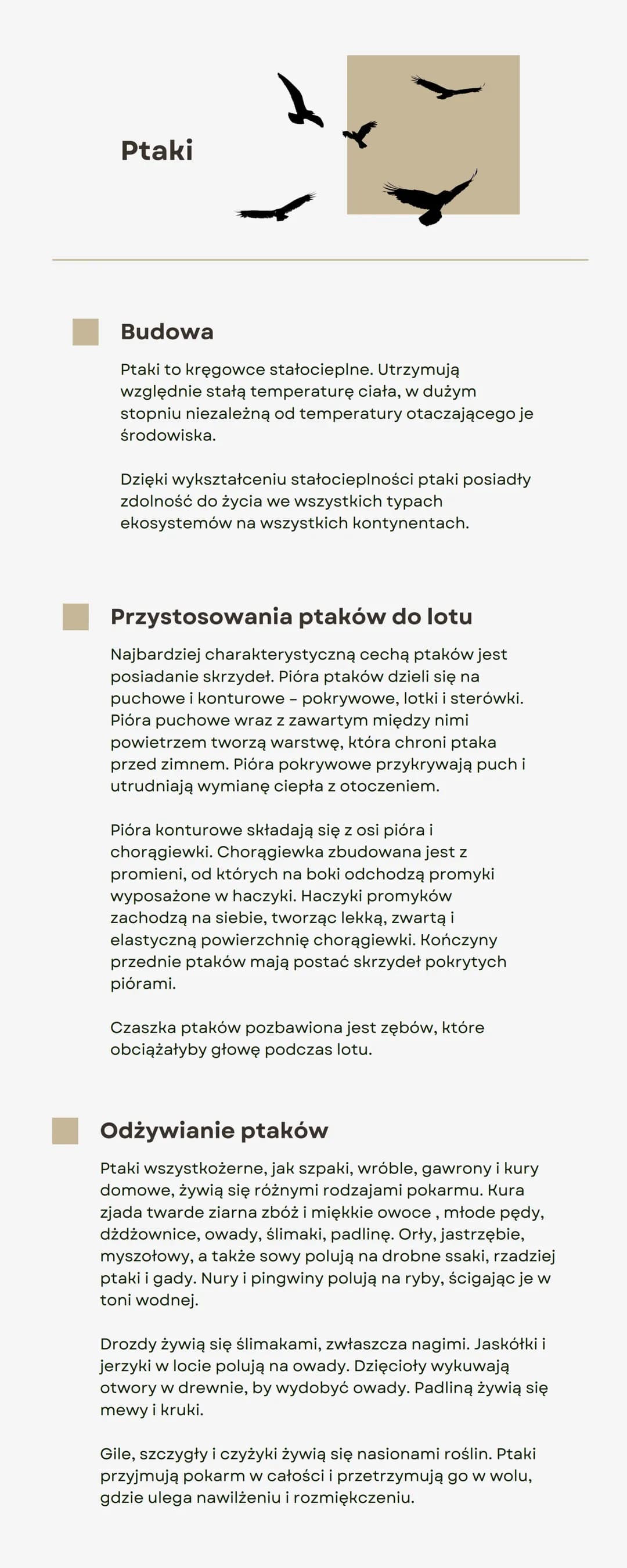 Ptaki
Budowa
Ptaki to kręgowce stałocieplne. Utrzymują
względnie stałą temperaturę ciała, w dużym
stopniu niezależną od temperatury otaczają