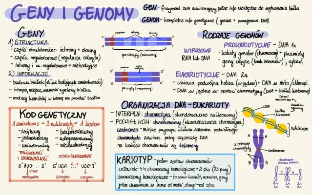 Know geny i genomy, transkrypcja, translacja, ekspresja genów thumbnail